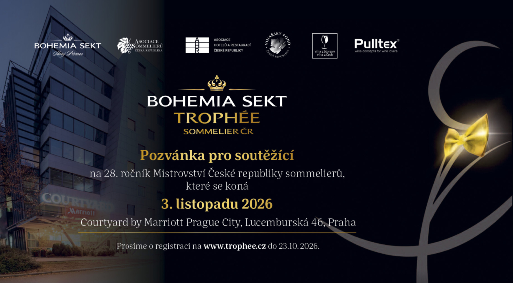 Pozvánka Professional